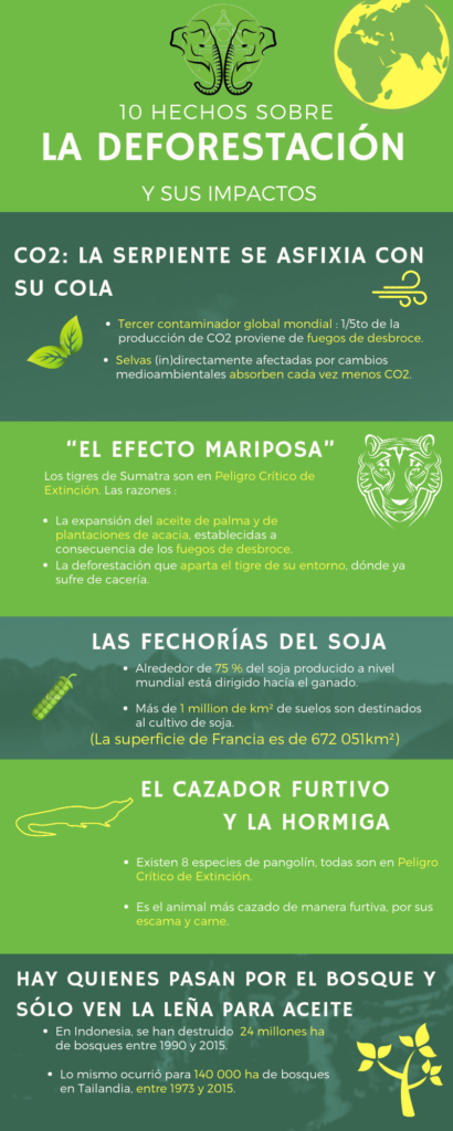 Ahims'Animals Infografía Deforestación